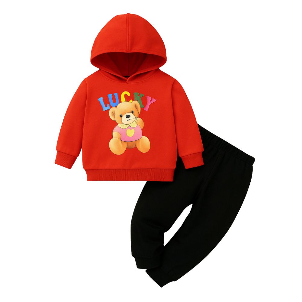 Winter Premium Hoodies and Long pant Set (6M-9Years)